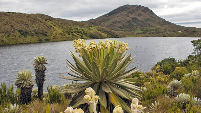 Páramo de Siscunsí in Boyacá